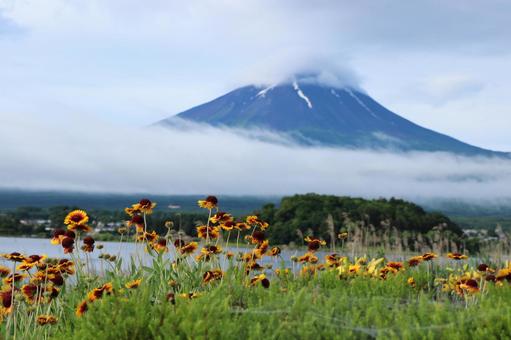 風景 風景の写真