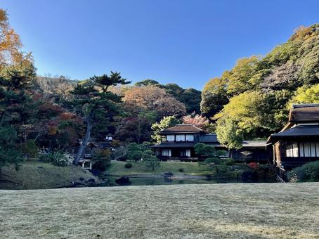 秋の日本庭園の建物と紅葉 秋の日本庭園の建物と紅葉 三溪園,神奈川,日本庭園の写真素材