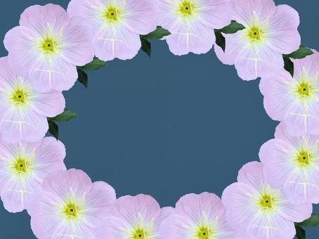 月見草の写真素材 写真素材なら 写真ac 無料 フリー ダウンロードok