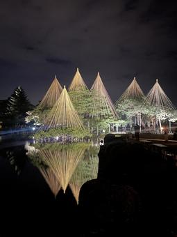兼六園ライトアップ 兼六園ライトアップの写真