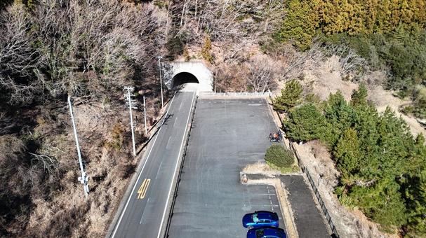 道くさ 道くさの写真