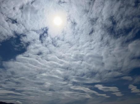 晩夏の層積雲 晩夏の層積雲の写真