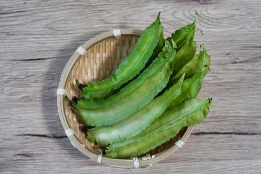 鮮やかな緑の四角豆 四角豆,ハネミササゲ,うりずん豆の写真素材