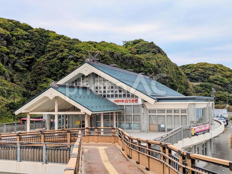 道の駅、白うさぎ 道の駅,白うさぎ,白兎の写真素材