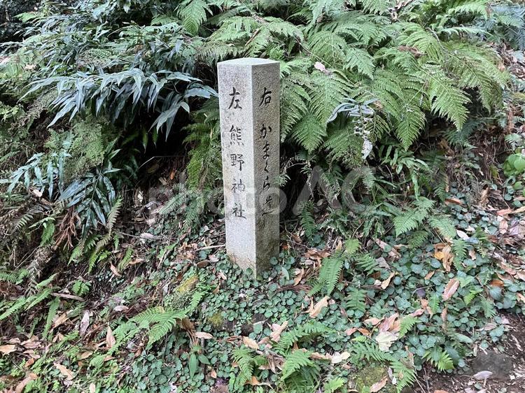 朝比奈の熊野神社の石碑 朝比奈,朝比奈コース,朝比奈切通の写真素材