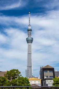 東京スカイツリー 東京スカイツリー スカイツリー,タワー,観光スポットの写真素材