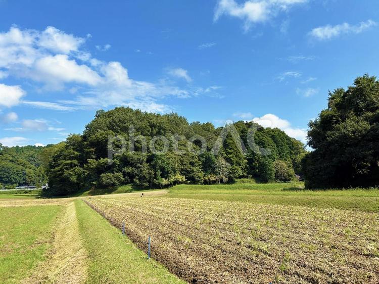 青空と稲刈り後の田畑 空,田畑,緑豊かの写真素材