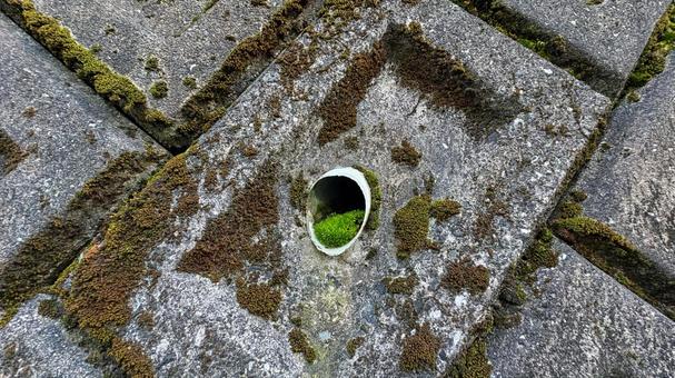 石の壁か出る苔の生えた水抜き 水はけ,水抜き,管の写真素材