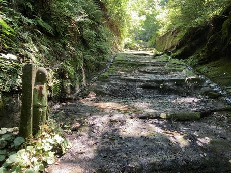 朝夷奈切通しの道 鎌倉,切通し,古道の写真素材
