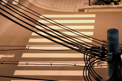 横断歩道 横断歩道の写真