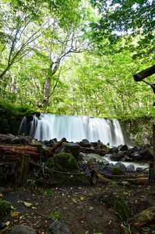 銚子大滝 銚子大滝,奥入瀬渓流,渓流の写真素材