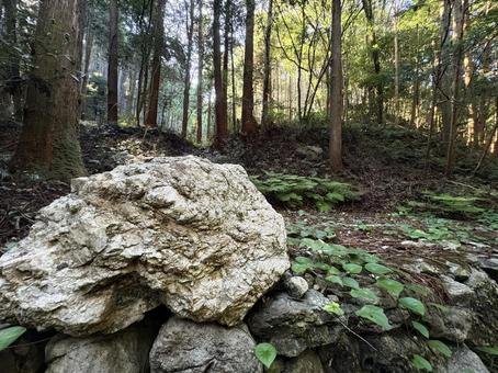 山道に眠る巨石 山道に眠る巨石 パワースポット,山,背景の写真素材