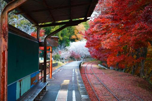 Photo, 三河広瀬駅, sightseeing, a place of interest, 