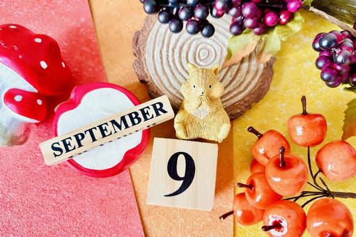 9月のイメージ素材 9月のイメージ素材 9月,イメージ,背景の写真素材