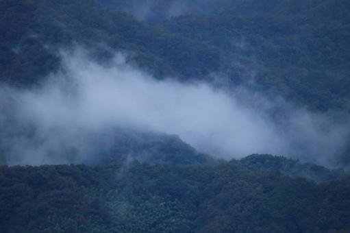 五老ヶ岳公園から見た京都府舞鶴湾の雲海の写真