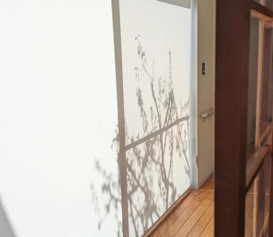 ブラインドのシルエット ブラインドのシルエット ブラインド,ロールスクリーン,日除けの写真素材