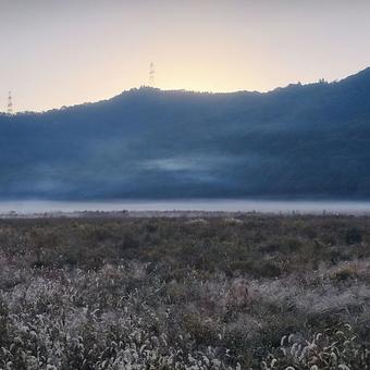 朝靄2 冬,山,朝の写真素材