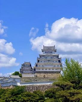 姫路城 世界遺産,姫路城,晴れの写真素材