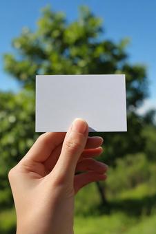 青空を背景に空白のカードを持つ手の写真