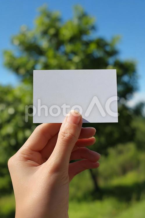 青空を背景に空白のカードを持つ手 手,女性,名刺の写真素材
