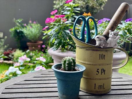 かわいいガーデン雑貨とサボテン/横 ガーデニング,ガーデン雑貨,園芸の写真素材