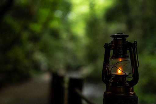 森の中を流れる川とアンティークランタン 森の中を流れる川とアンティークランタン ランタン,カンテラ,グランピングの写真素材