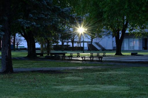 夜の公園 夜の公園の写真