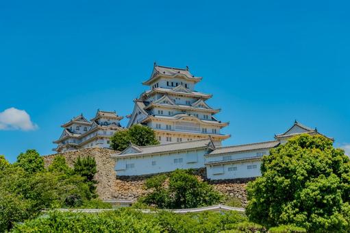 青空と緑に映える夏の姫路城 青空と緑に映える夏の姫路城 日本の風景,夏空,観光地の写真素材