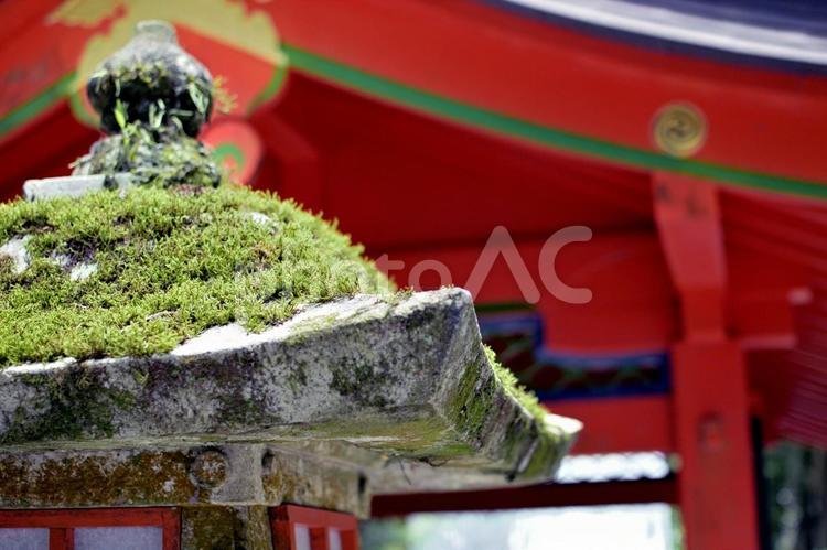 神社の灯籠 灯篭,あかり,明るいの写真素材