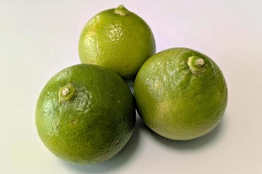 ベルガモットの実_04 ベルガモット,柑橘,柑橘類の写真素材