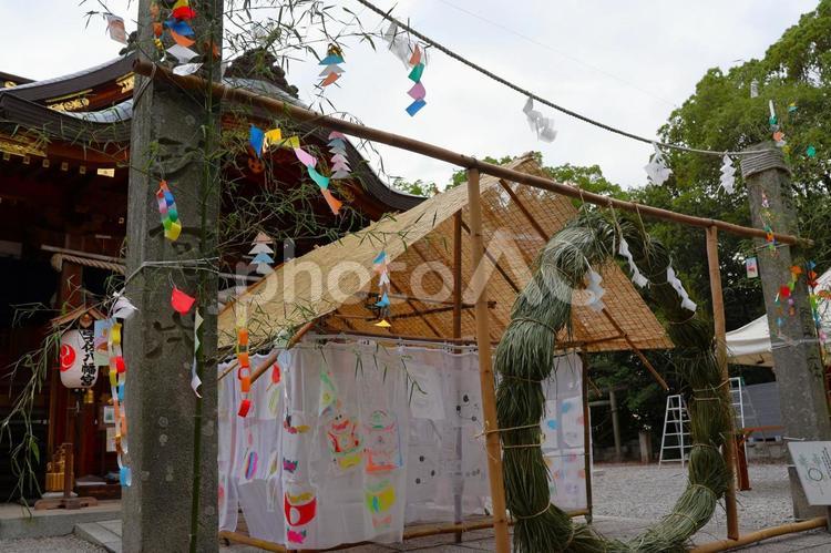 ７月中旬の高松市宇佐八幡宮の夏越大祓 神社,境内,茅の輪の写真素材