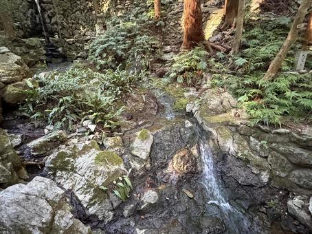 山に流れる小さな滝 山に流れる小さな滝の写真