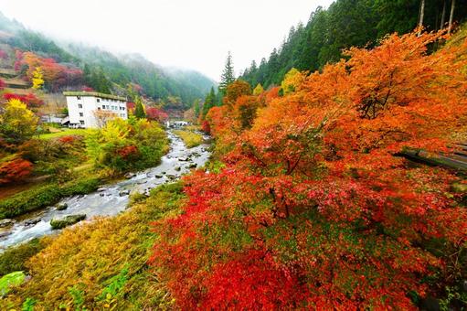 美しい大井平公園の紅葉風景 美しい大井平公園の紅葉風景の写真
