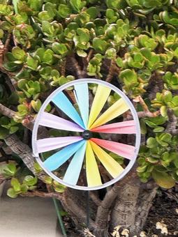 風車 風車,かざぐるま,オブジェの写真素材