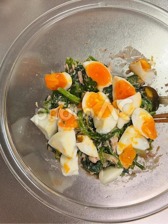 ほうれん草のツナたまサラダ 食事,ご飯,夜ごはんの写真素材