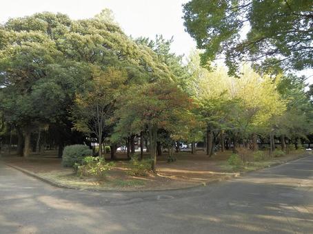 【風景写真】曹洞宗大本山總持寺の風景 【風景写真】曹洞宗大本山總持寺の風景 總持寺,諸嶽山,曹洞宗の写真素材