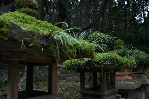 灯籠 灯籠の写真