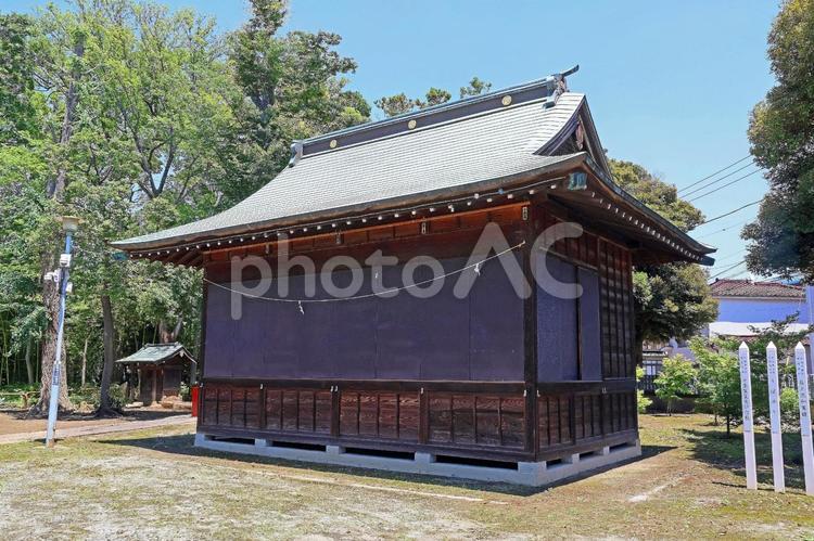 美女木八幡神社（戸田） 美女木八幡神社,仲哀天皇,応神天皇の写真素材