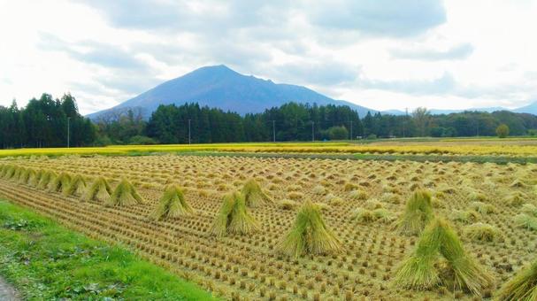 稲刈り後の田園風景 秋,稲刈り,田んぼの写真素材
