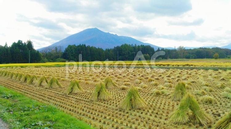 稲刈り後の田園風景 稲刈り後の田園風景 秋,稲刈り,田んぼの写真素材