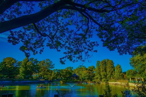 目黒区の池の風景 池,ボート,目黒区の写真素材