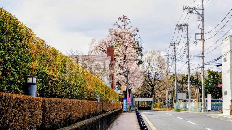 青梅市の春・花曇りの桜＆河辺駅周辺 桜,青梅市,春の写真素材