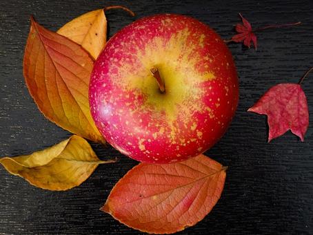 落ち葉とりんご2 りんご,落ち葉,黒盆の写真素材