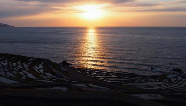 夕日の白米千枚田 夕日の白米千枚田 白米千枚田,棚田,田んぼの写真素材