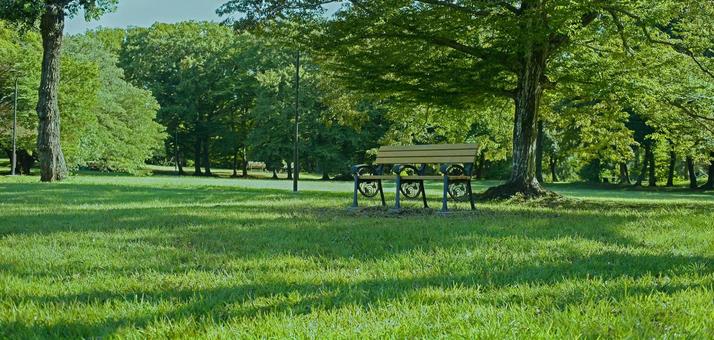 公園のベンチ 公園のベンチ ベンチ,椅子,座るの写真素材