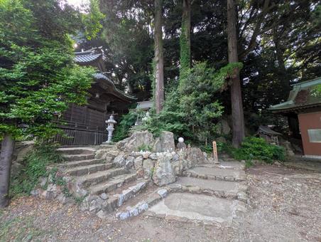 大甕神社境内 大甕神社境内 日本,美しい,風景の写真素材