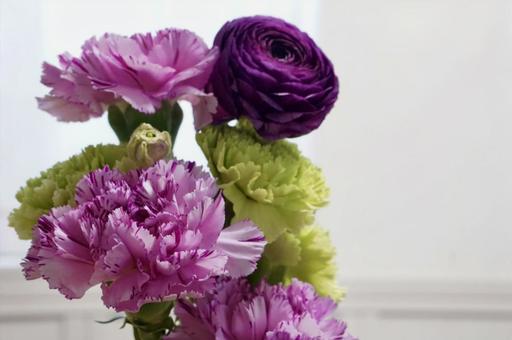 Carnation by the window, goździk, dzień matki, dzień matki, JPG