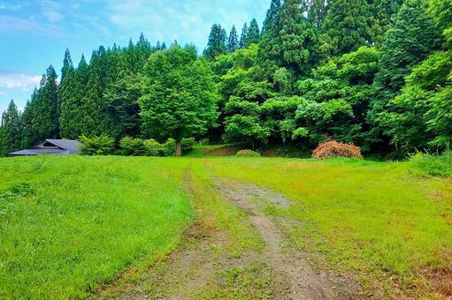 2025年8月の里山10 2025年8月の里山10 山林,空き地,緑地の写真素材