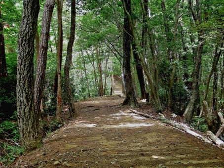 Photo, mountain path, rido way, mountain, 