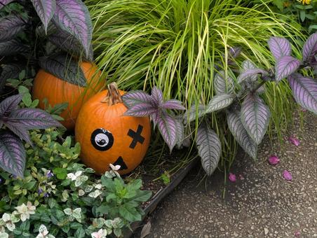 ハロウィン ハロウィン ハロウィン,10月,秋の写真素材
